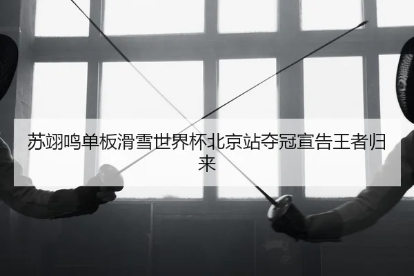 苏翊鸣单板滑雪世界杯北京站夺冠宣告王者归来